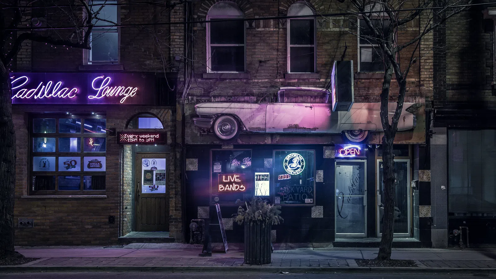 The Last Holdout: Live Music is Playing Around the U.S.?Why Not in New Orleans?