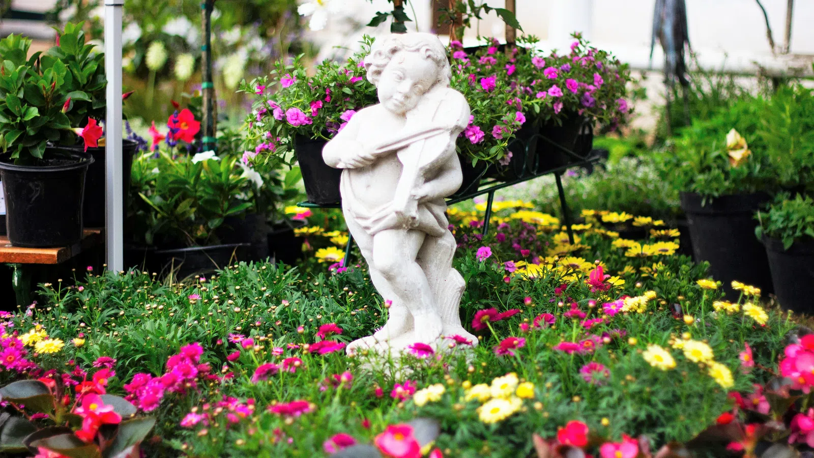 Stop and Smell the Flowers: Five Gardens to Visit