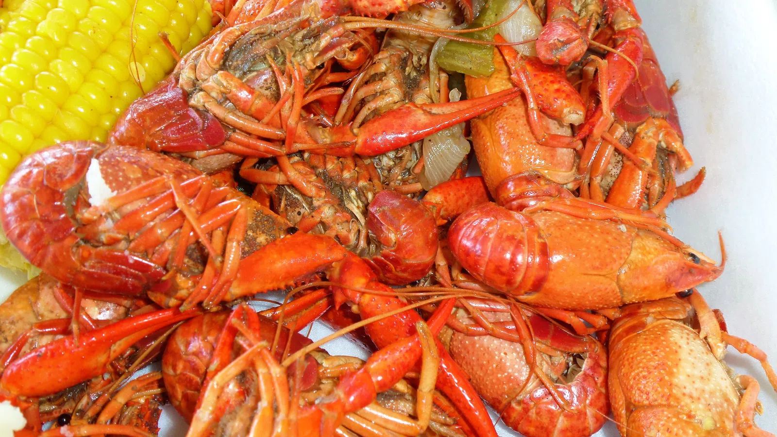 The Annual King of Crawfish Event Comes to Generations Hall this Thursday