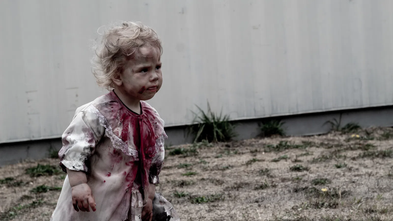 Dawn of the NOLA Zombie Craze