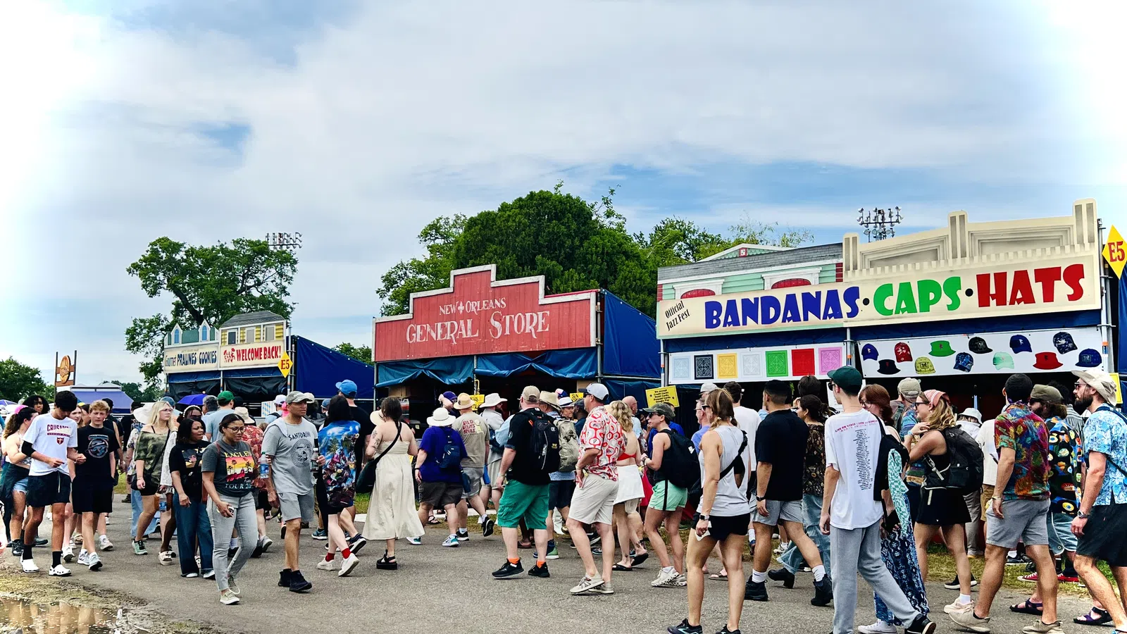 a large group of people walking on a street