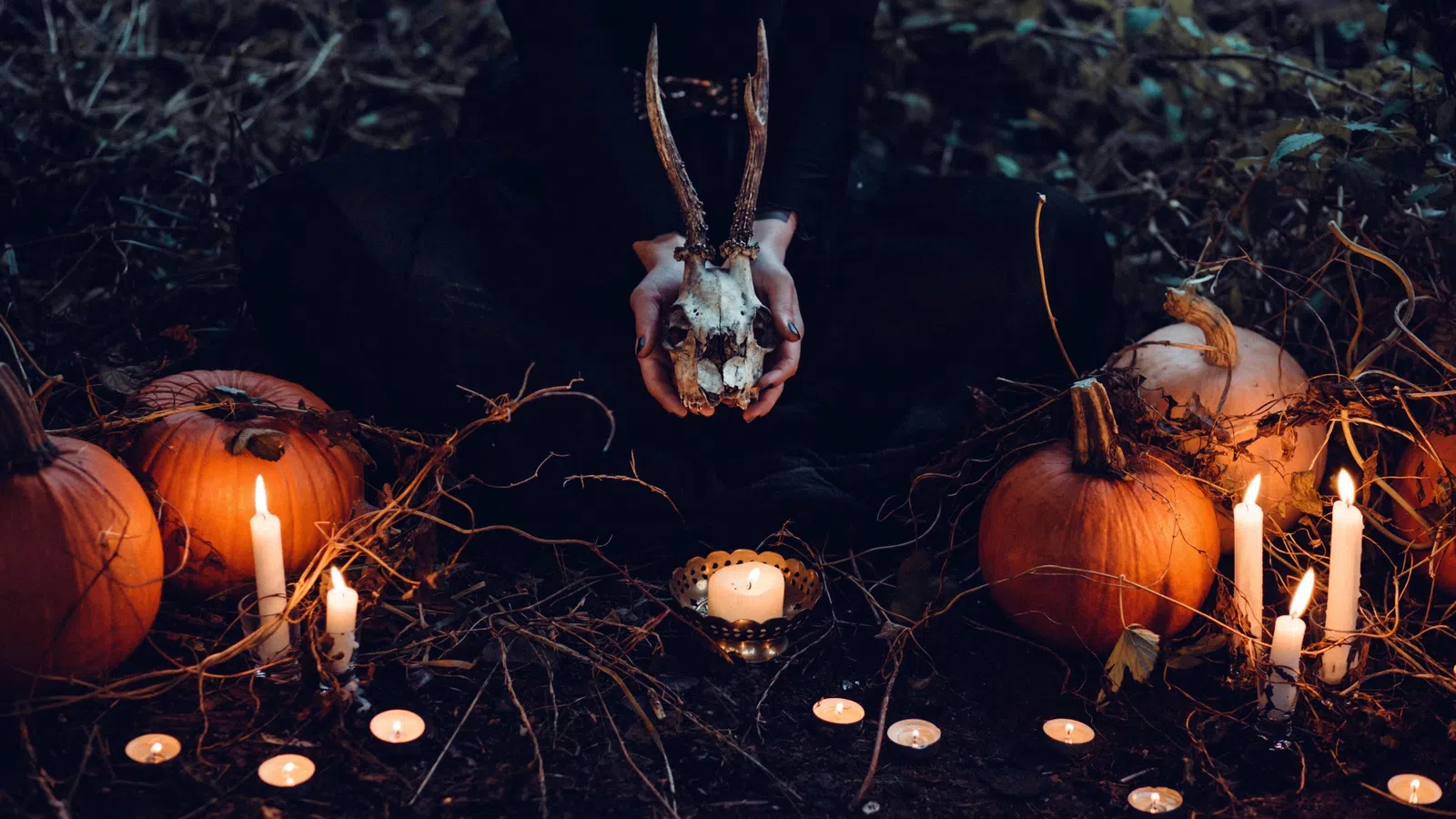 Spooky Season: New Orleans Nightmare to Return to the Big Easy