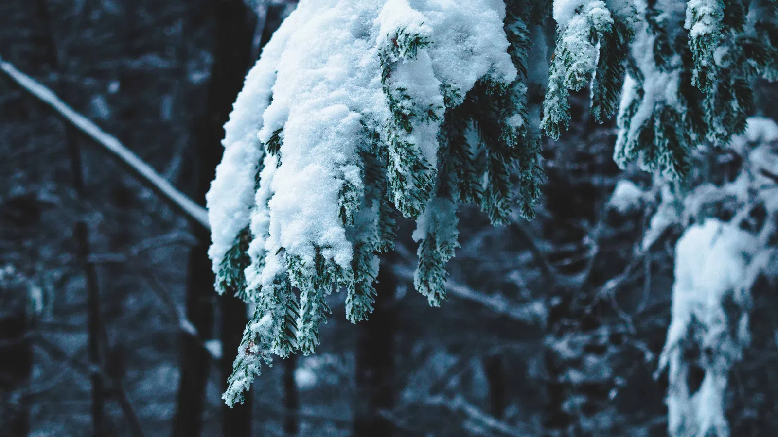 January 1st