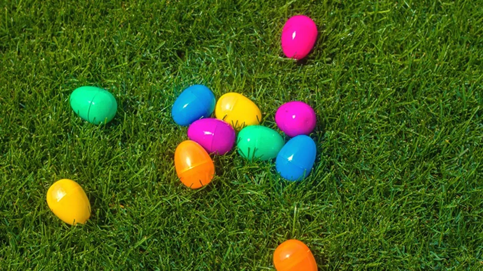 a group of colorful eggs on grass
