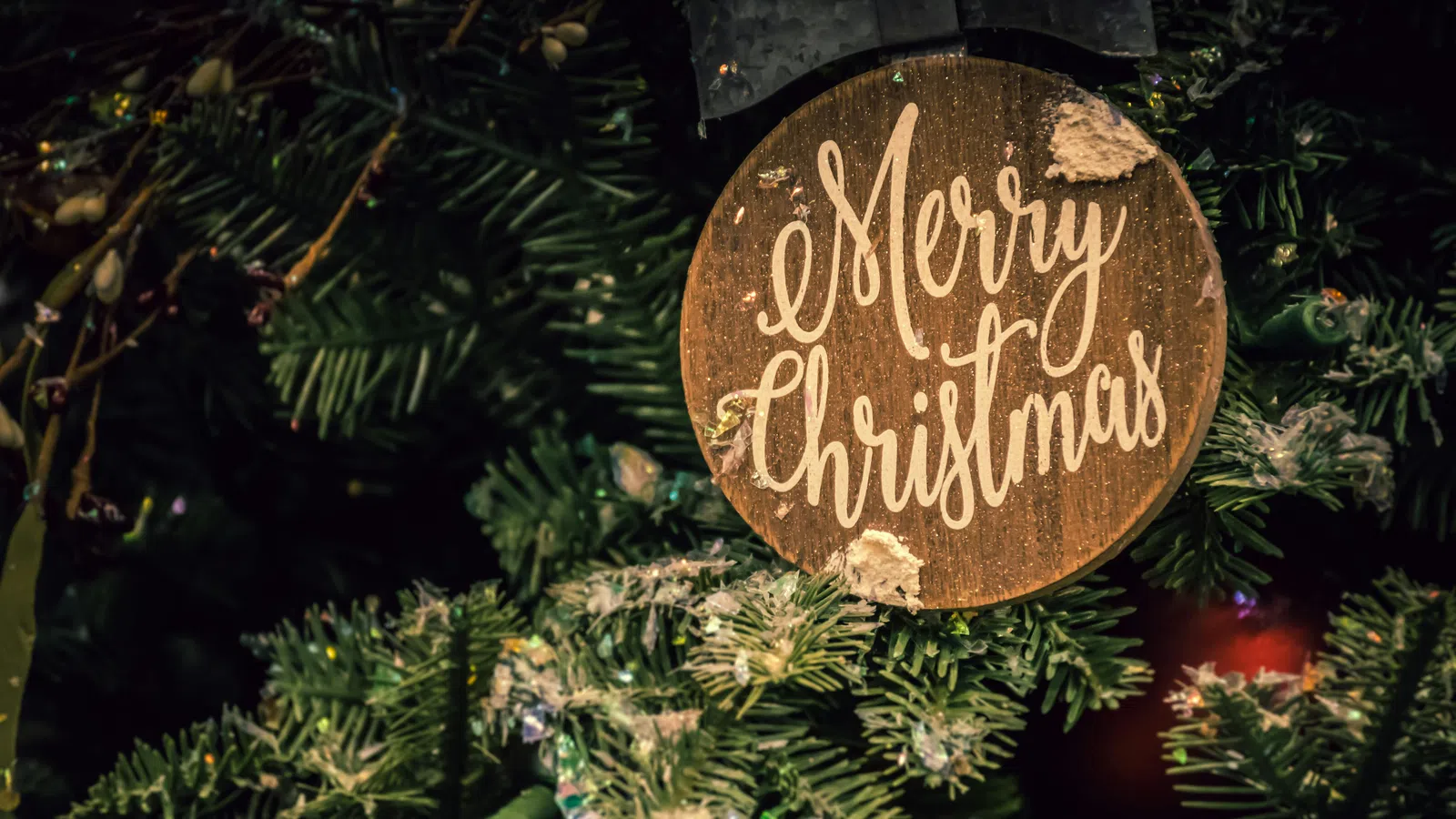 a gold and brown sign on a tree