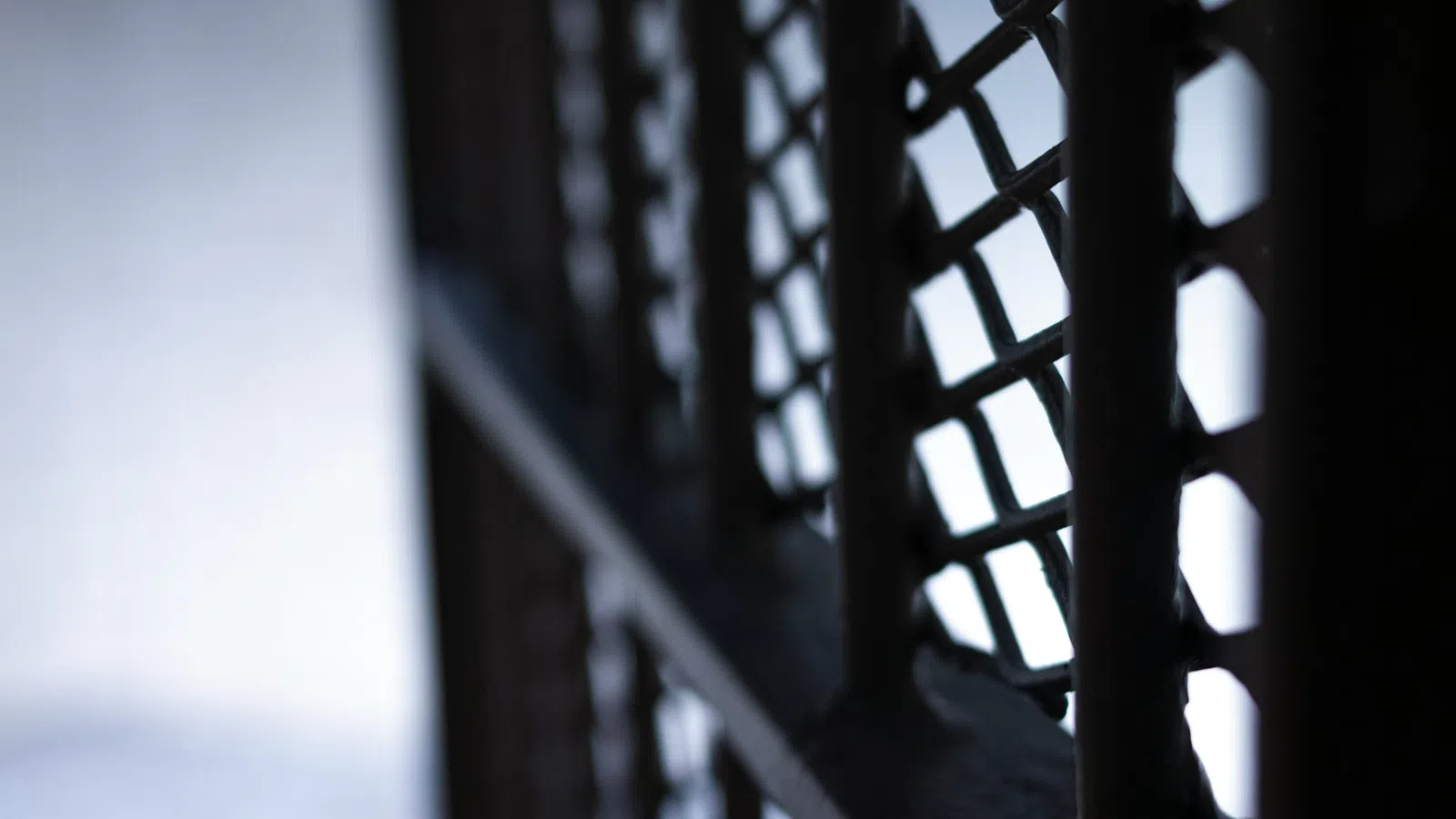 a close-up of a chain link fence