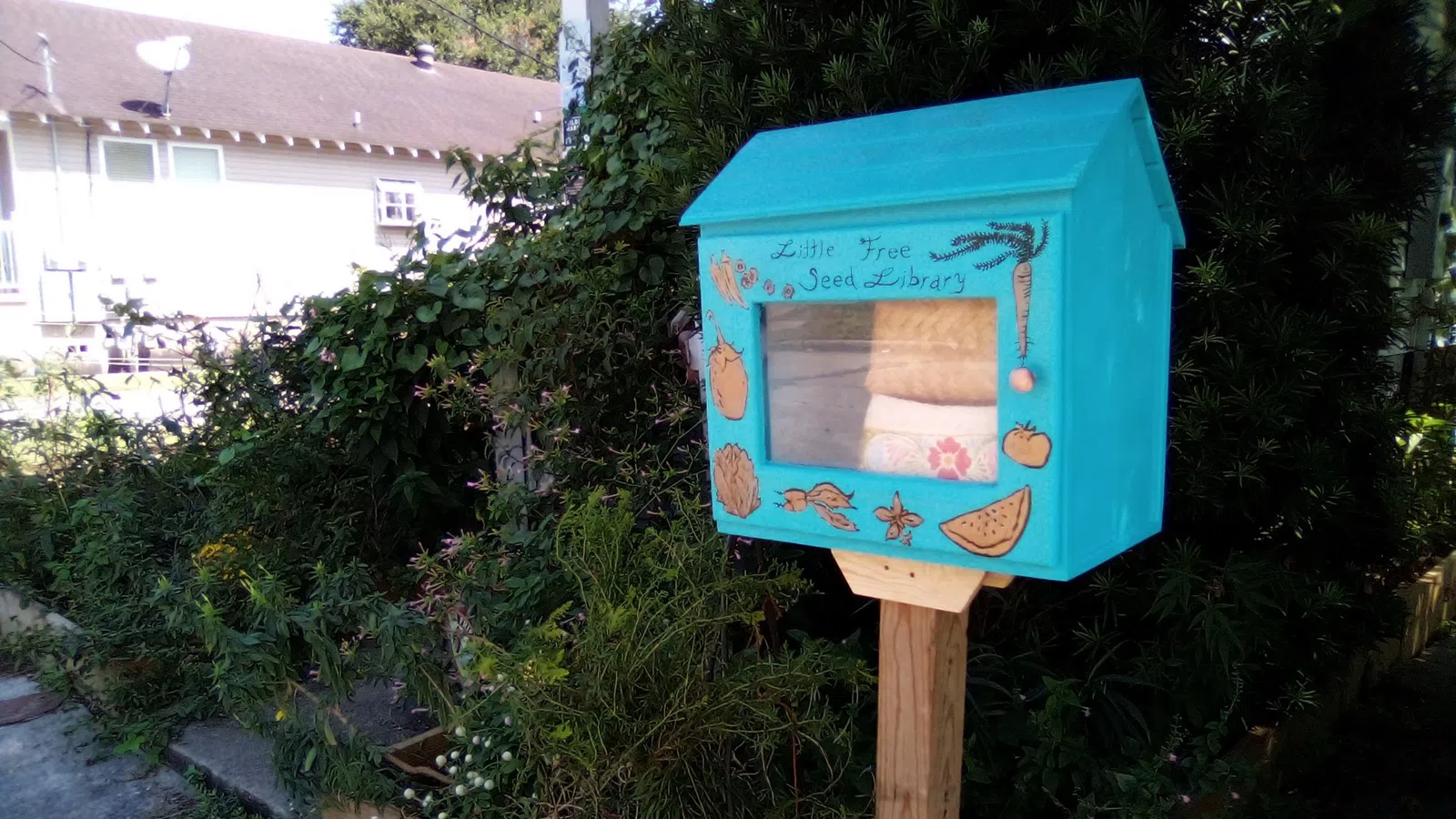 Blue Little Free Seed Library box on wooden post surrounded by green plants and residential background.