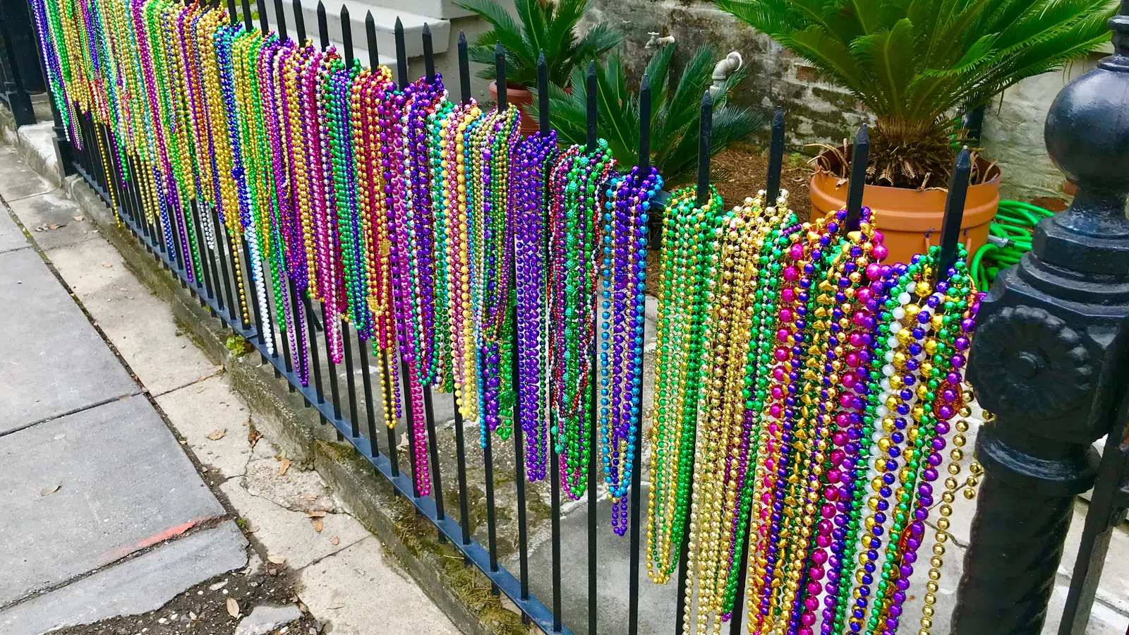 Celebrate Mardi Gras From a Distance With Henry Turner Jr.?s Movie