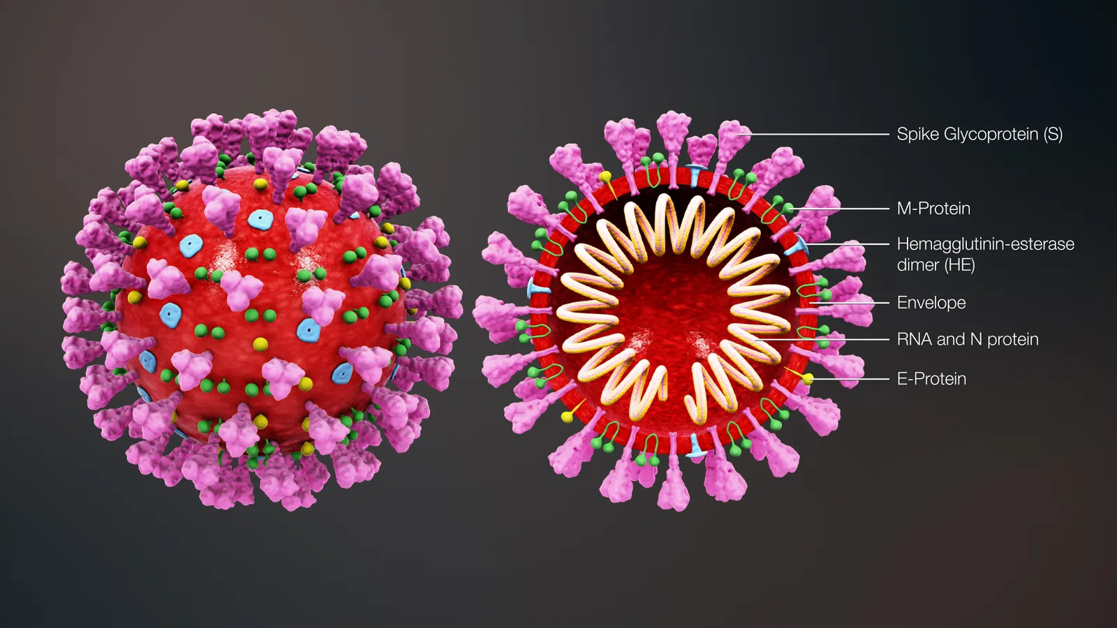 Coronavirus: How Are We Doing Now in Louisiana?