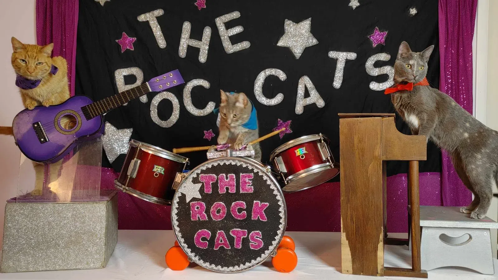 a group of cats playing instruments