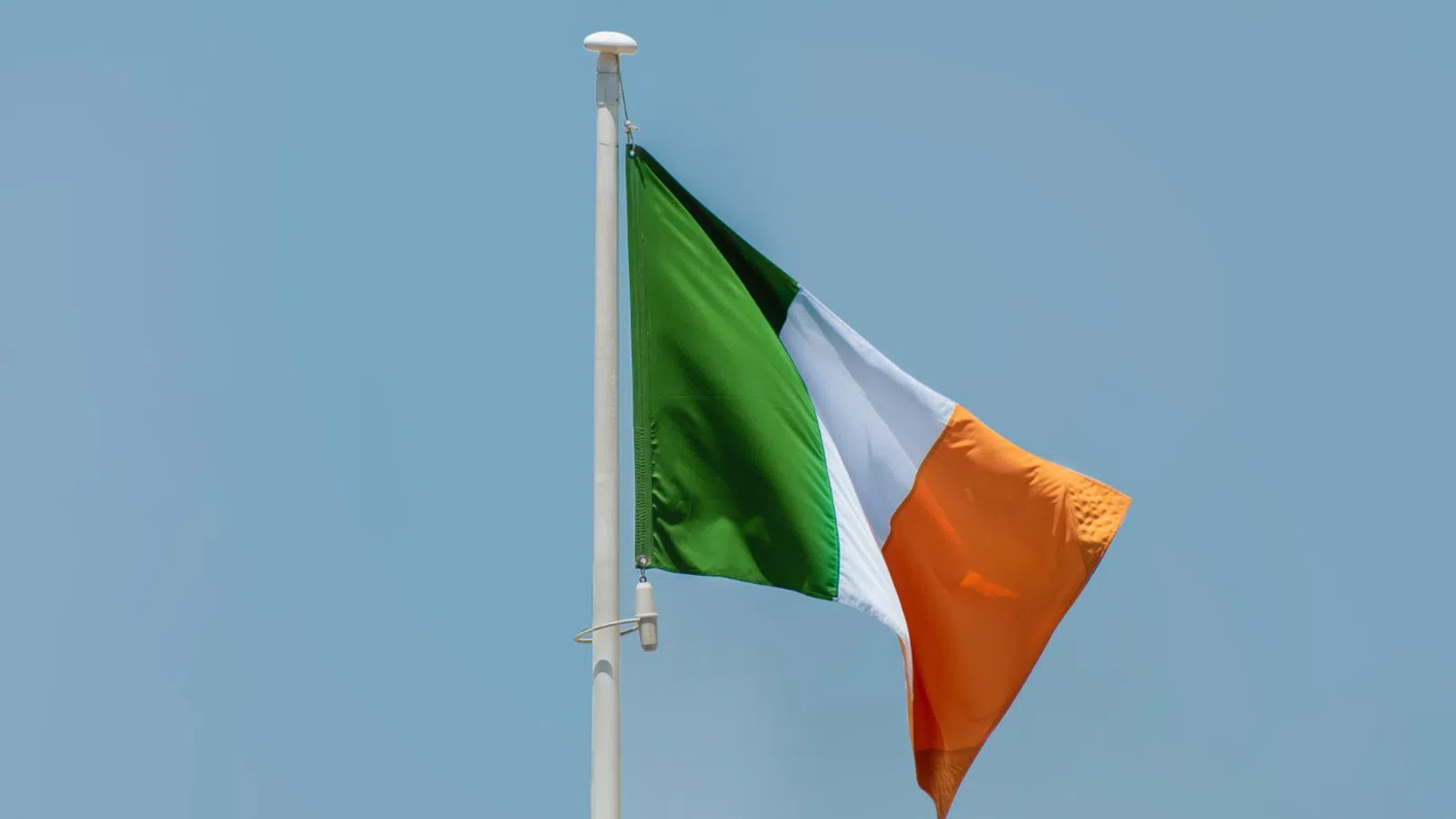 a flag on a pole
