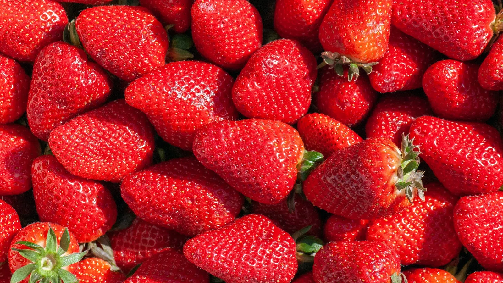 Close-up of fresh, ripe red strawberries with green leaves densely packed together.