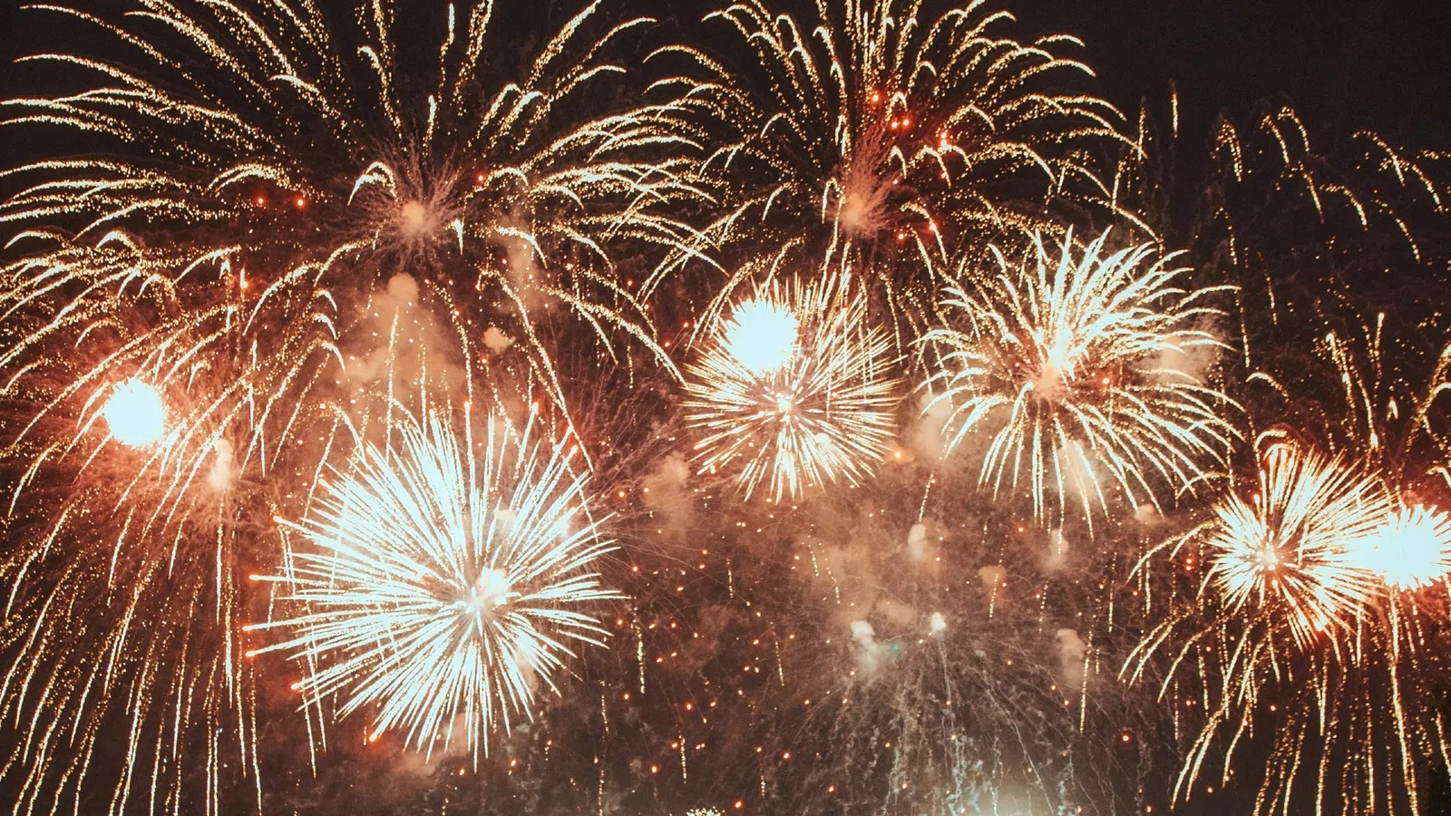 fireworks in the sky