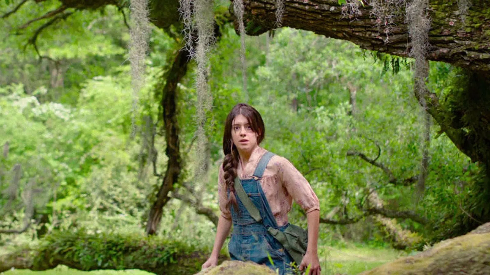 a man standing in a forest