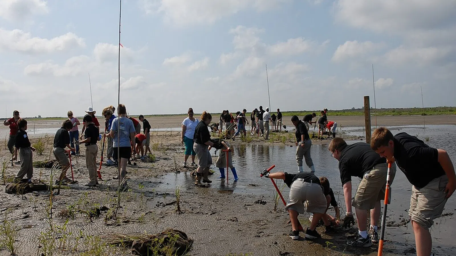 Group of people planting mangrove trees in a muddy coastal area on a cloudy day for environmental restoration.