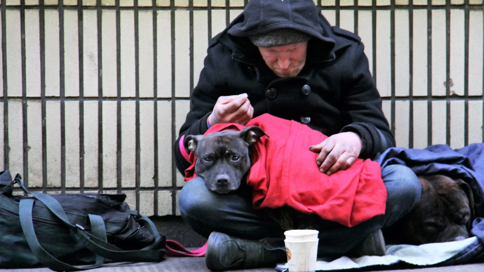 Southern Solidarity Leads Campaign to Help Local Homeless