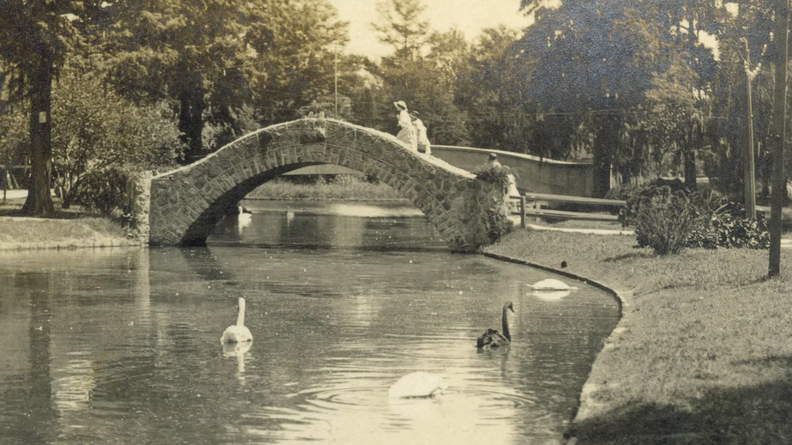 The Liveliest Of Oaks: 300 Years of City Park