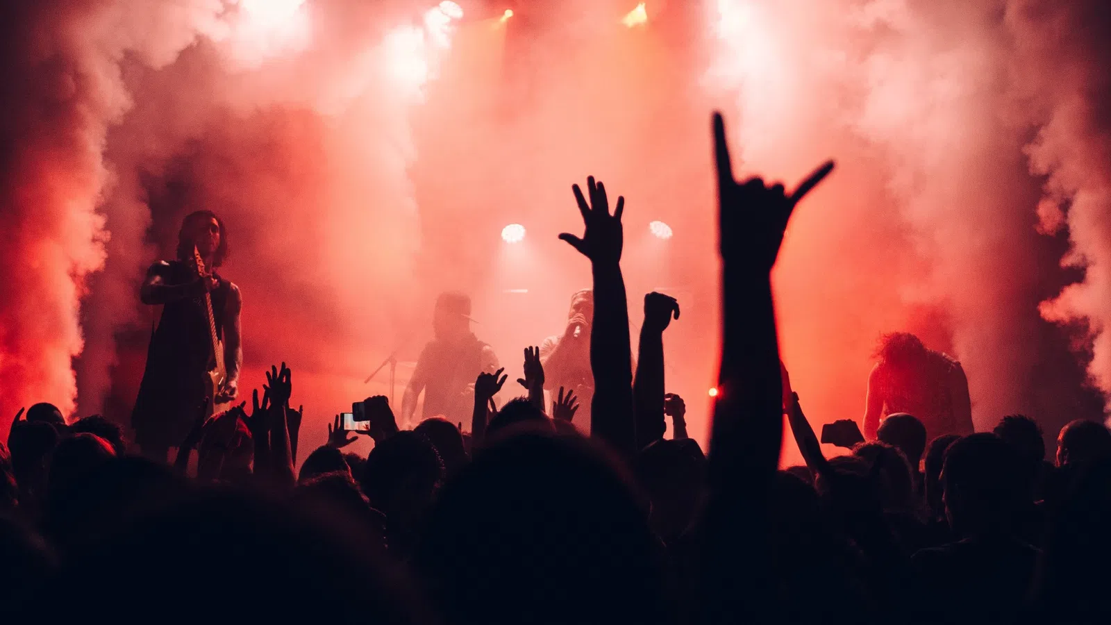 a crowd of people at a concert