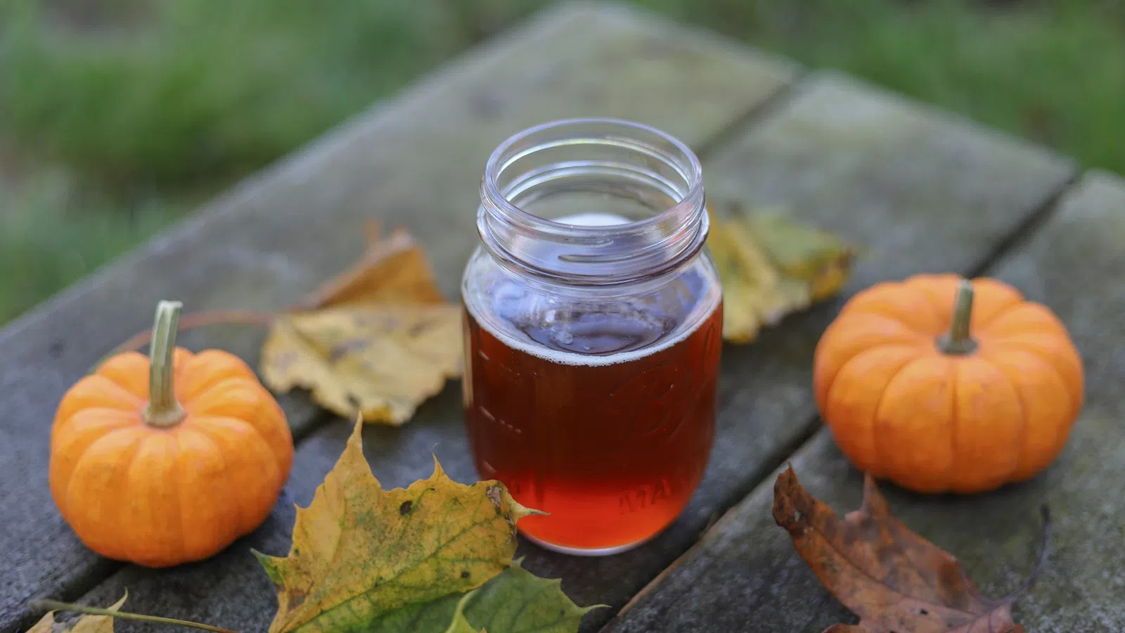 Boos and Brews: Beers for Fall