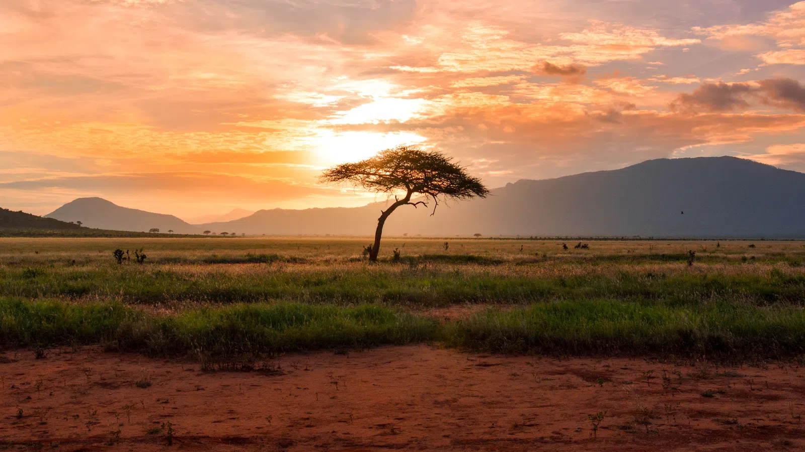 Let’s Go To South Africa, Spain, France, and Hawaii!