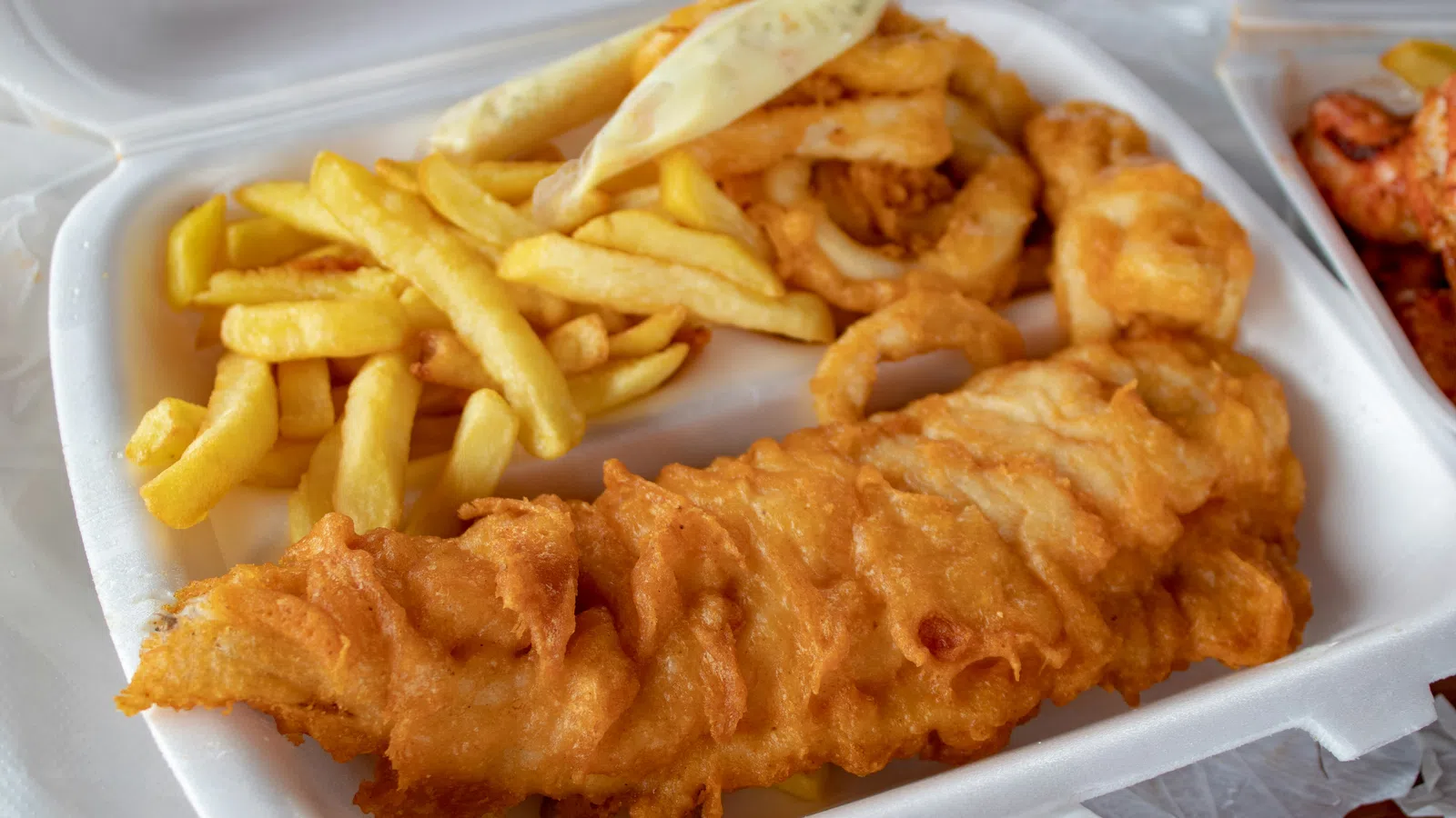 a plate of fried food