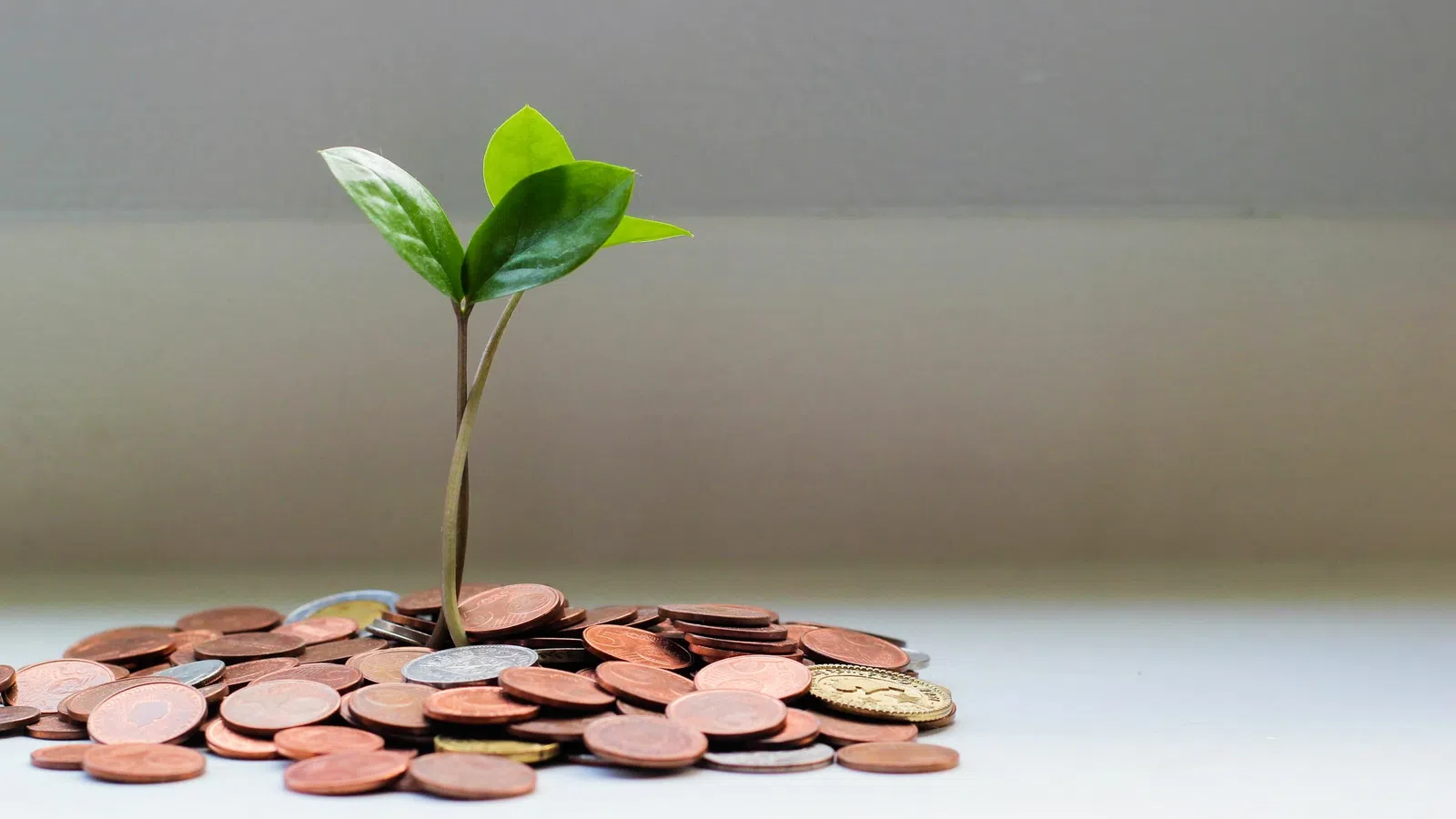 New Orleans Reminds Businesses of Continued COVID Support Programs