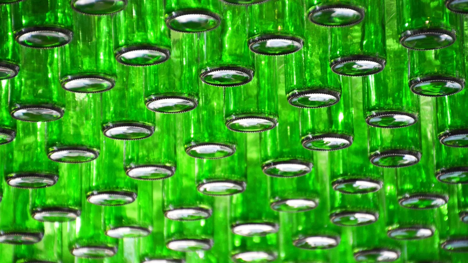 Startup St. Bernard Competition Awards Glass Half Full Recycling Co.