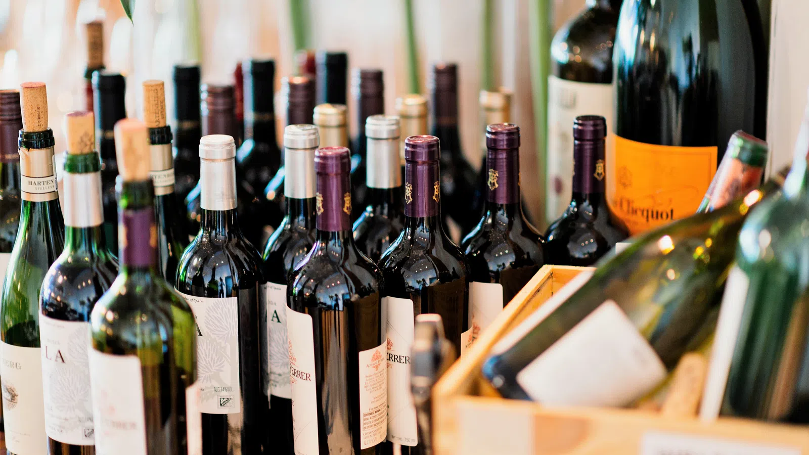 New Orleans Restaurants Named to Wine Spectator?s List