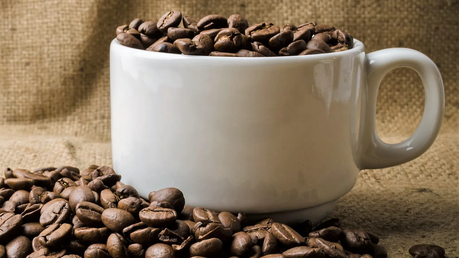 Local Coffee House Chain Expands to MSY Airport