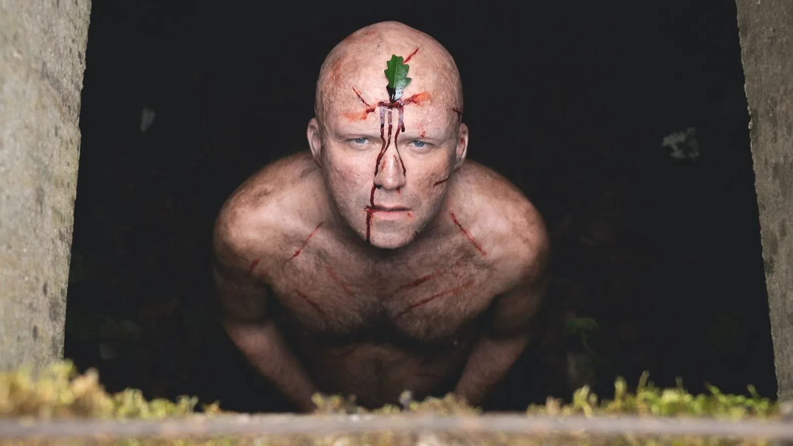 a person with a leaf on the head