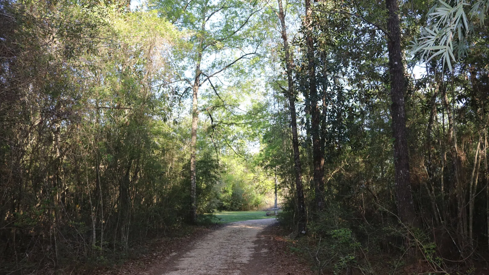 Have Fun in Nature! Moonshadow Fest Announces its Premiere