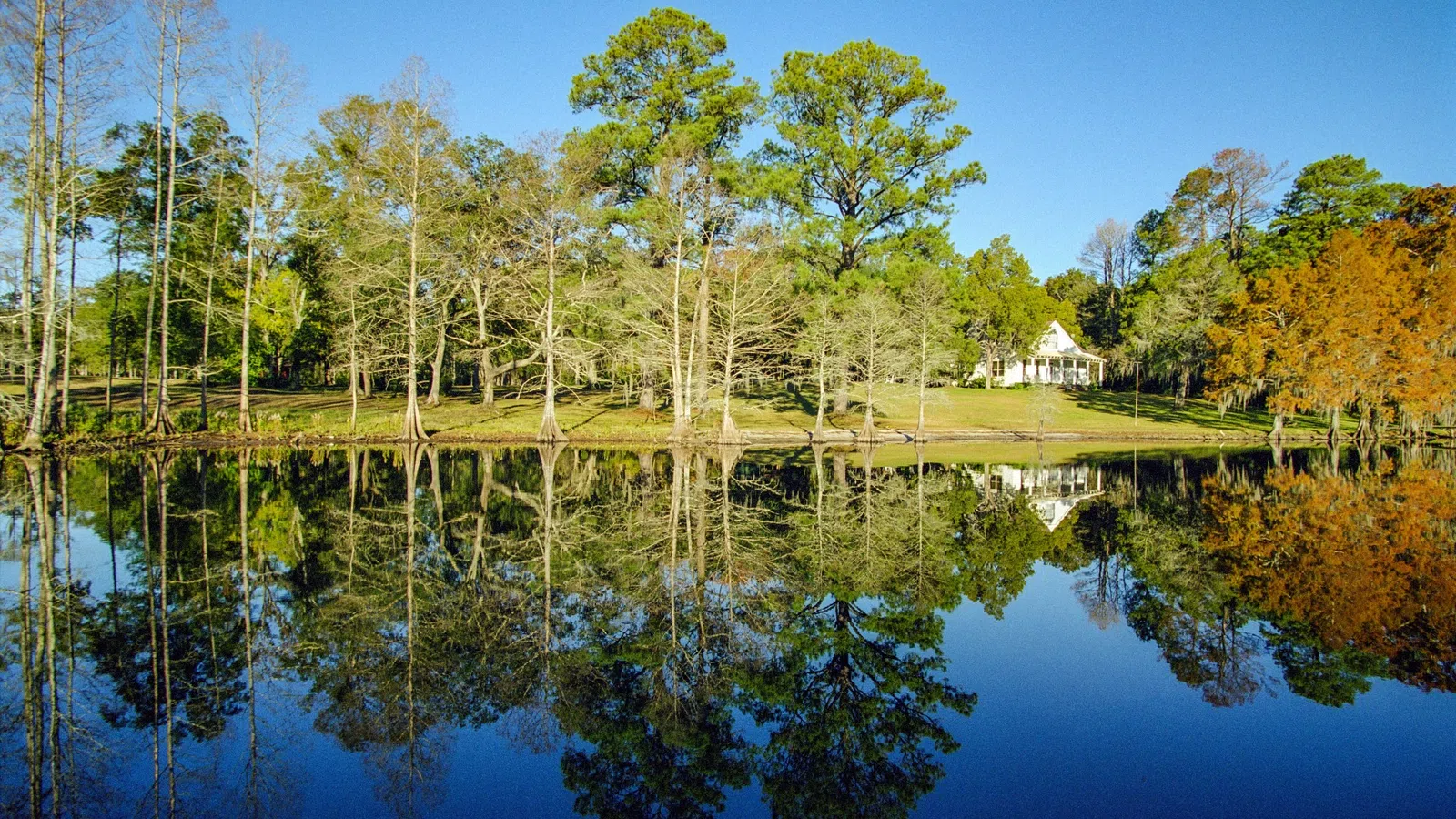 Celebrate Spring with Six Things to do Outdoors