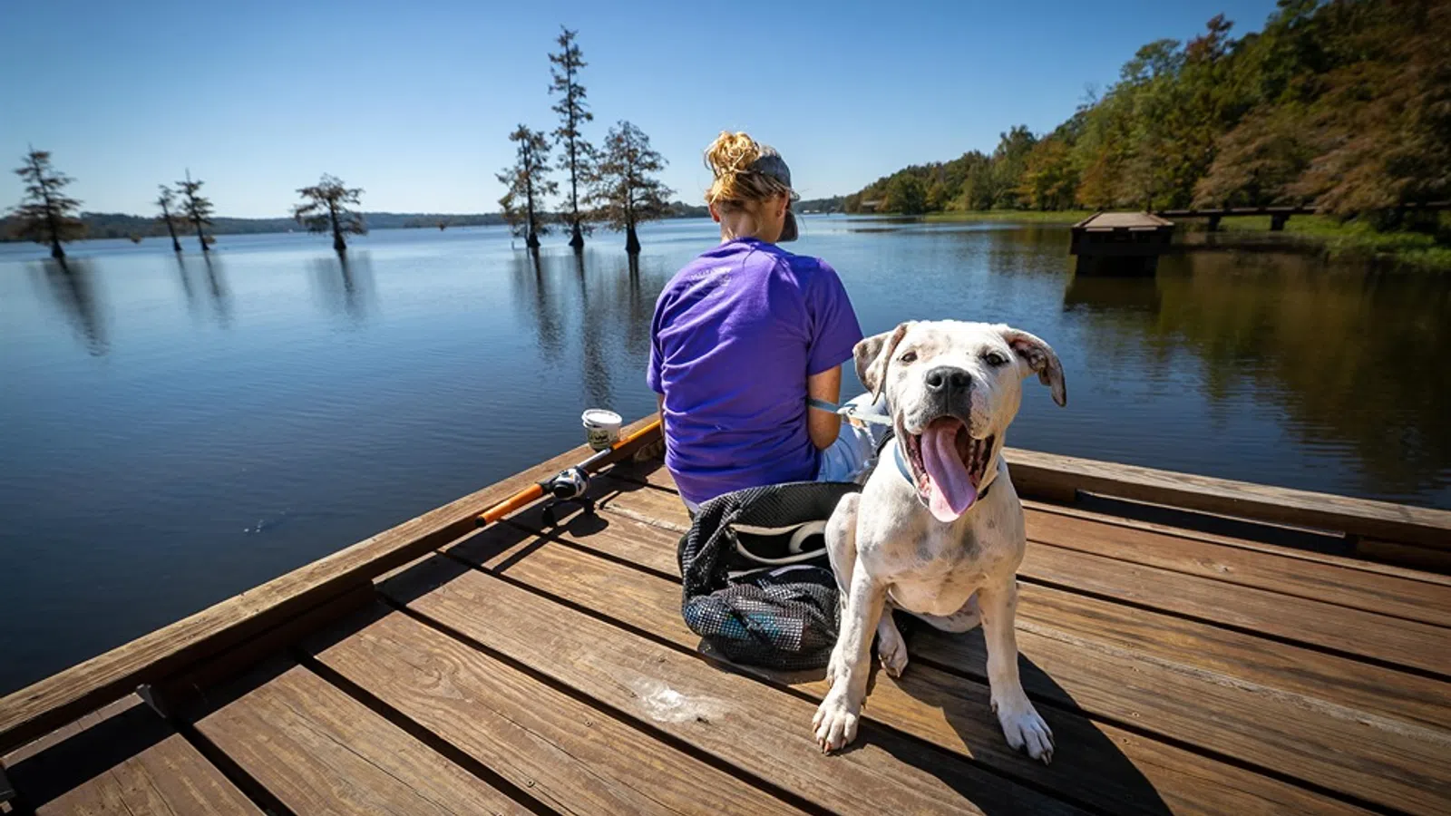 a person and a dog on a dock by a lake