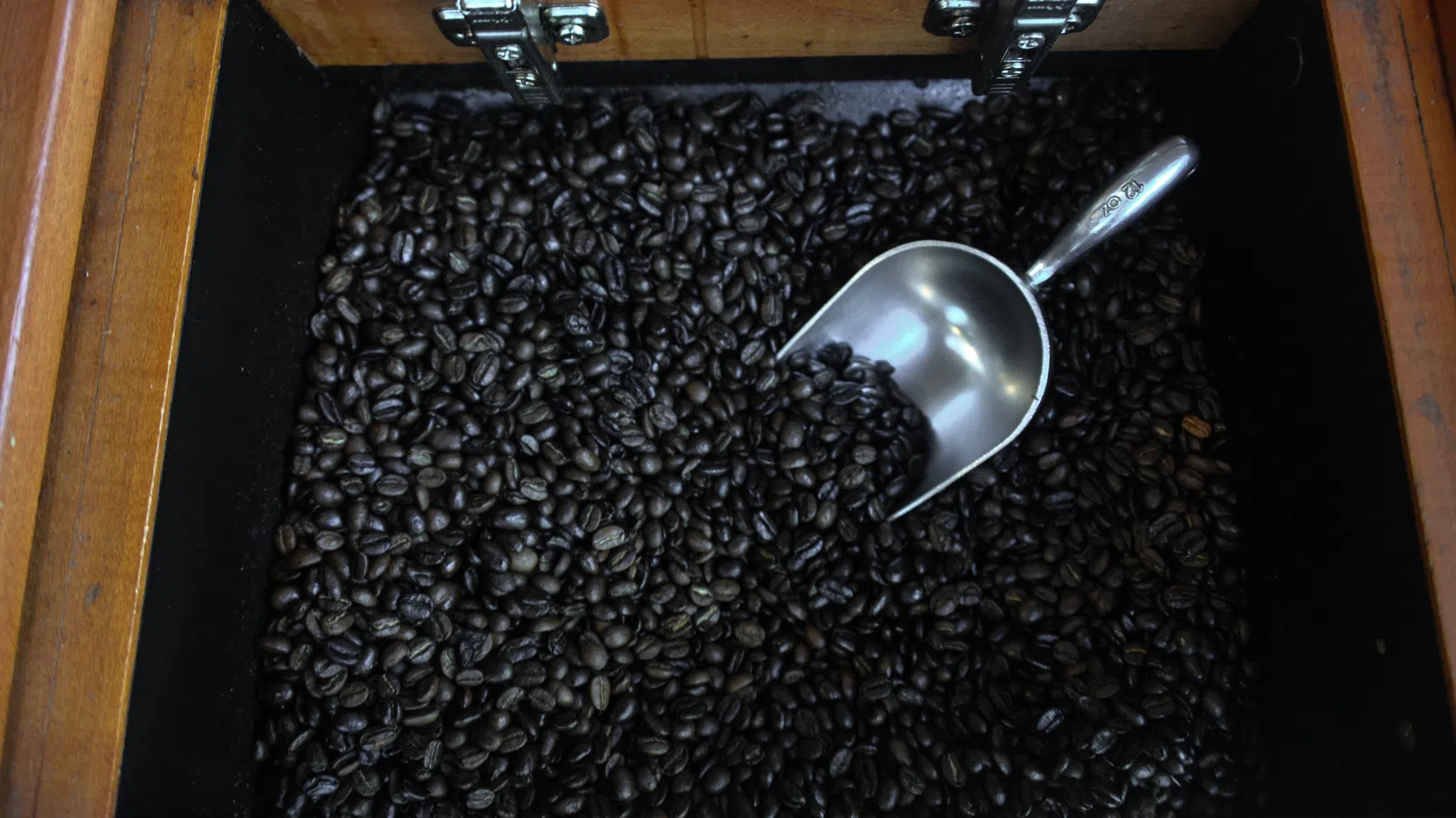Why Is There Chicory in My Coffee?: The History of a Local Favorite
