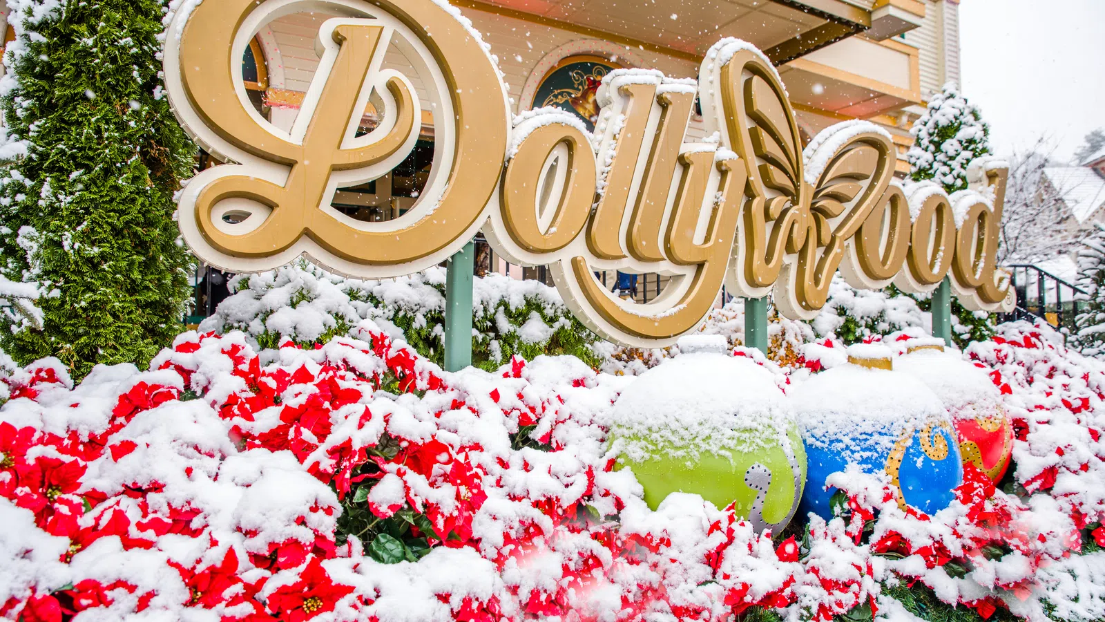 Dollywood: Purity of Heart with 5 Million Points of Light