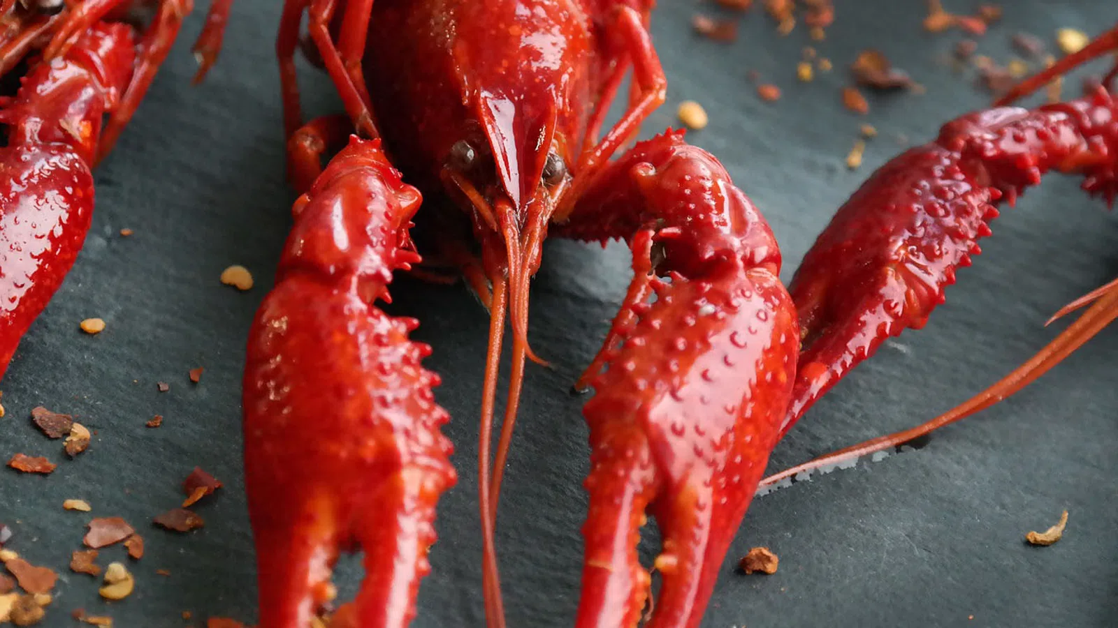 WIN A FREE CRAWFISH BOIL FROM COORS LIGHT!