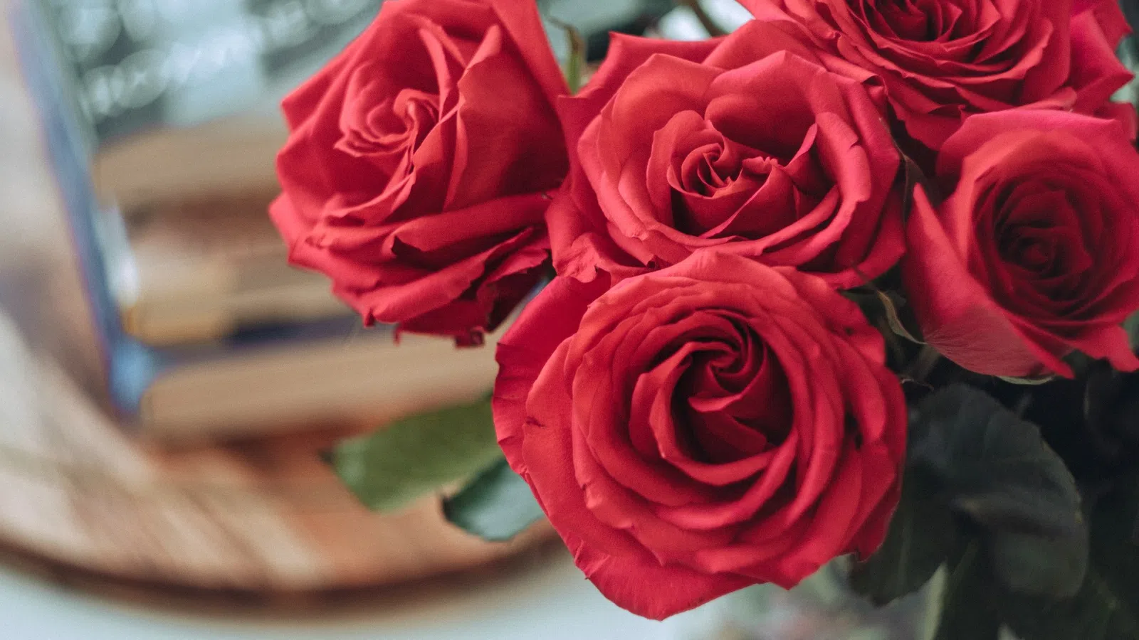 Free NOLA to Host Its Love & Roses Gala to Raise Money for Human Trafficking Victims