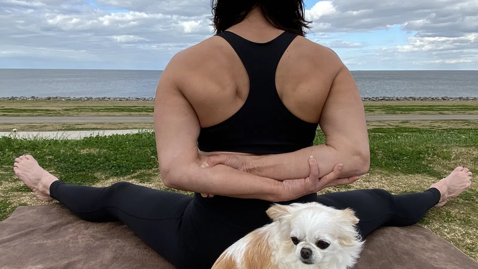 Meditation Tips: Help You Get Into a Calmer State of Mind