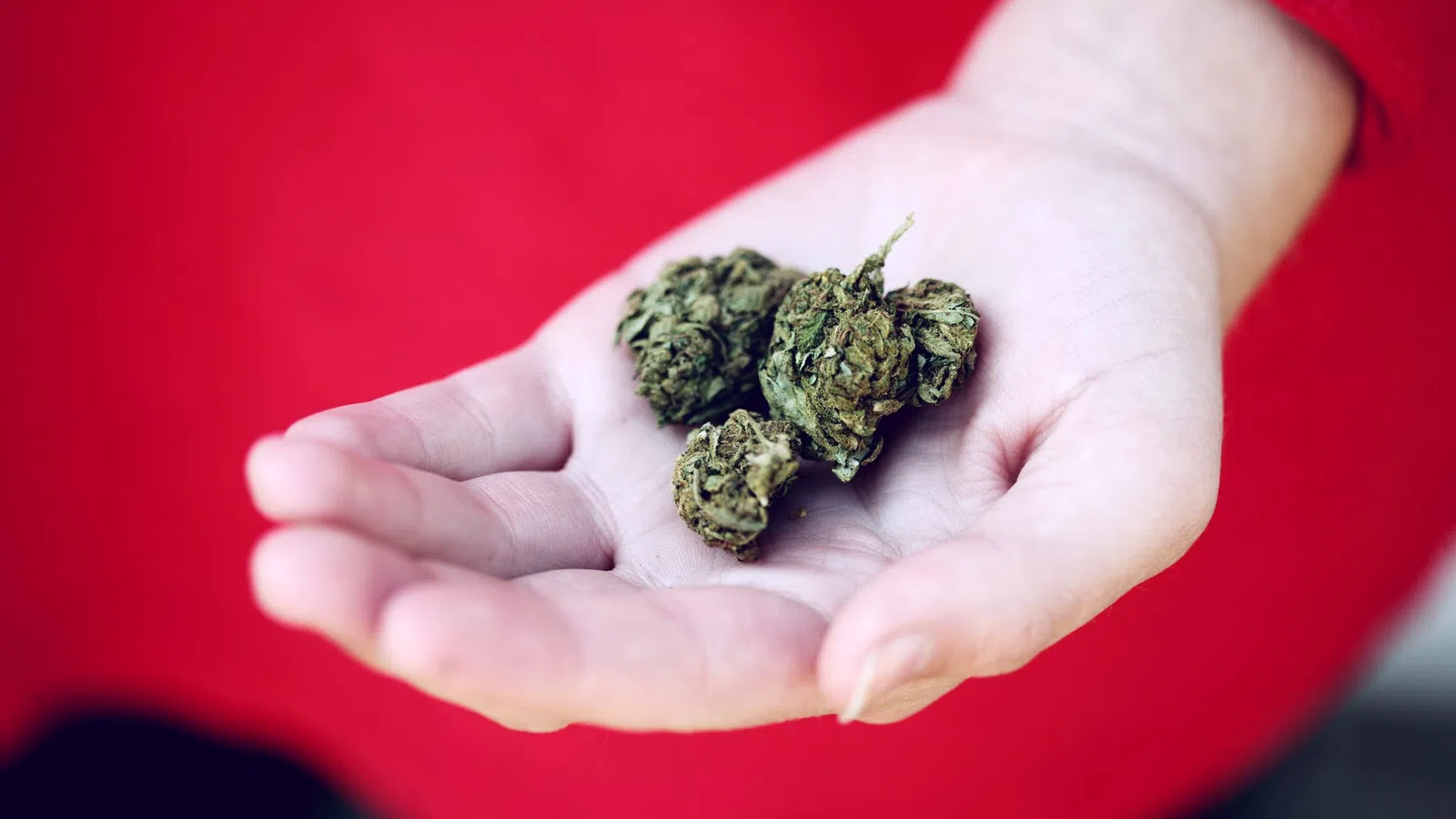 New Legal Marijuana Product Available This Week