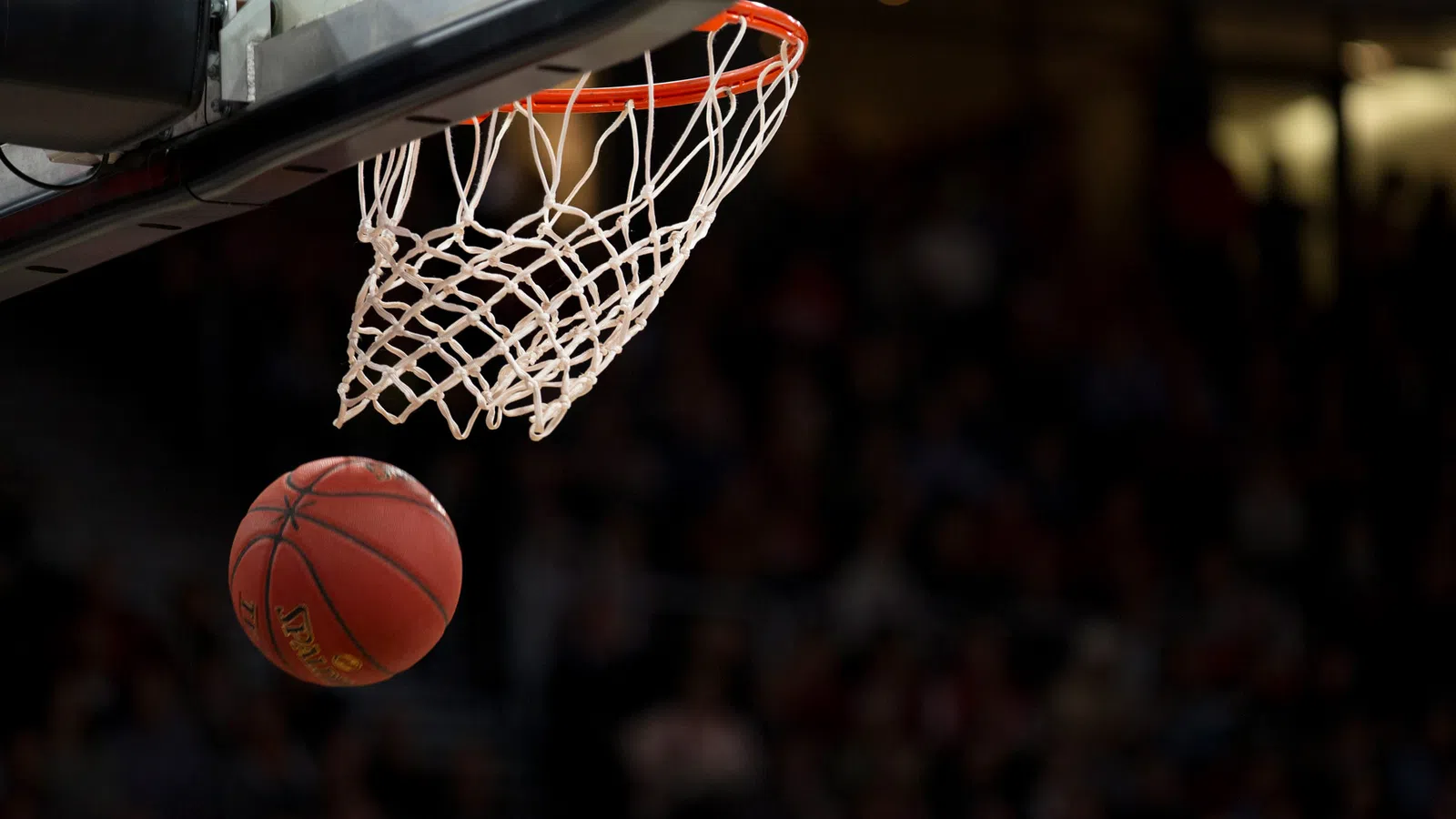 Zion Williamson set to showcase talent at Summer League