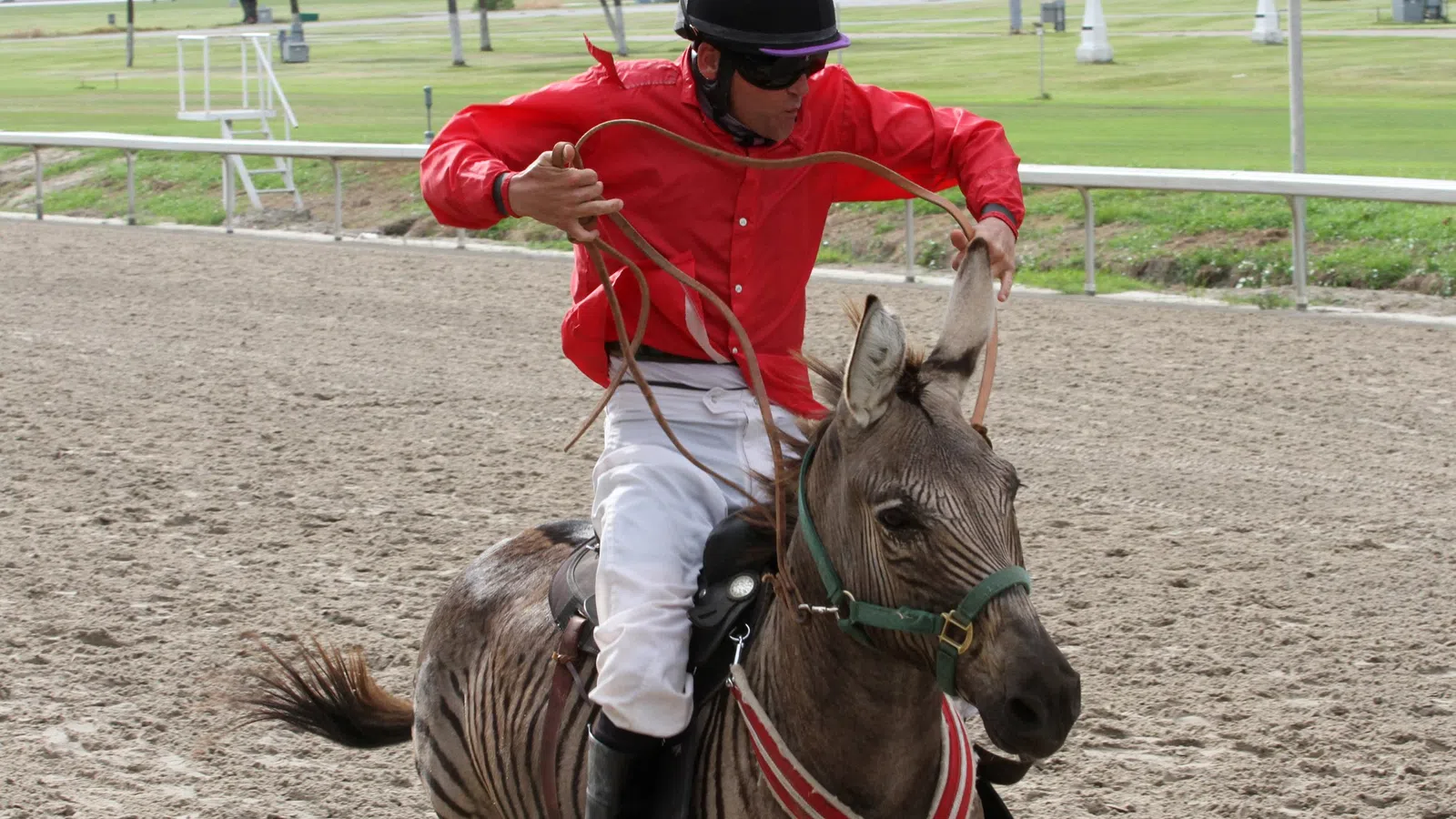 a man riding a donkey