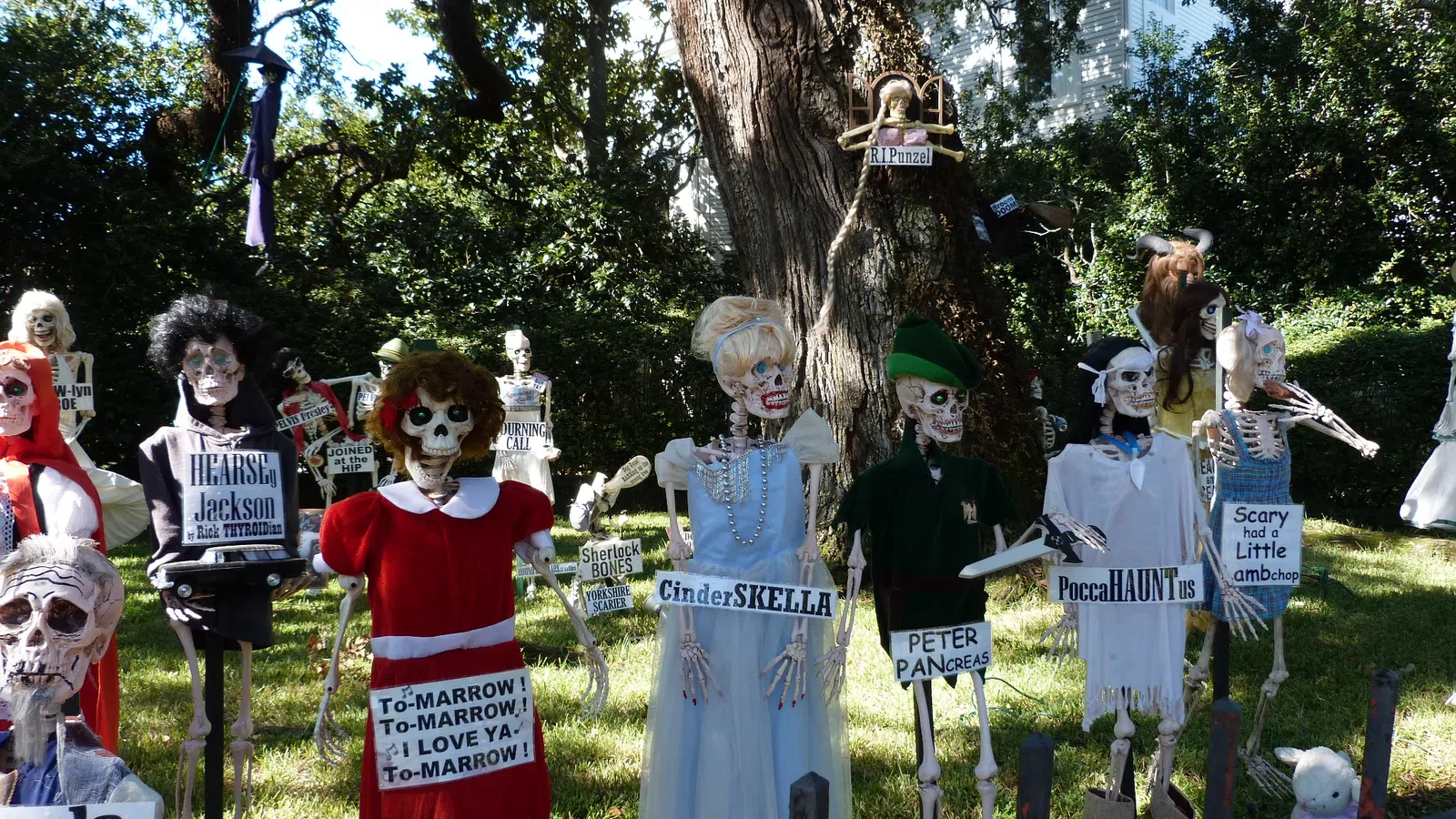 Halloween skeleton characters with humorous signs in a sunlit yard with trees and a house in the background.