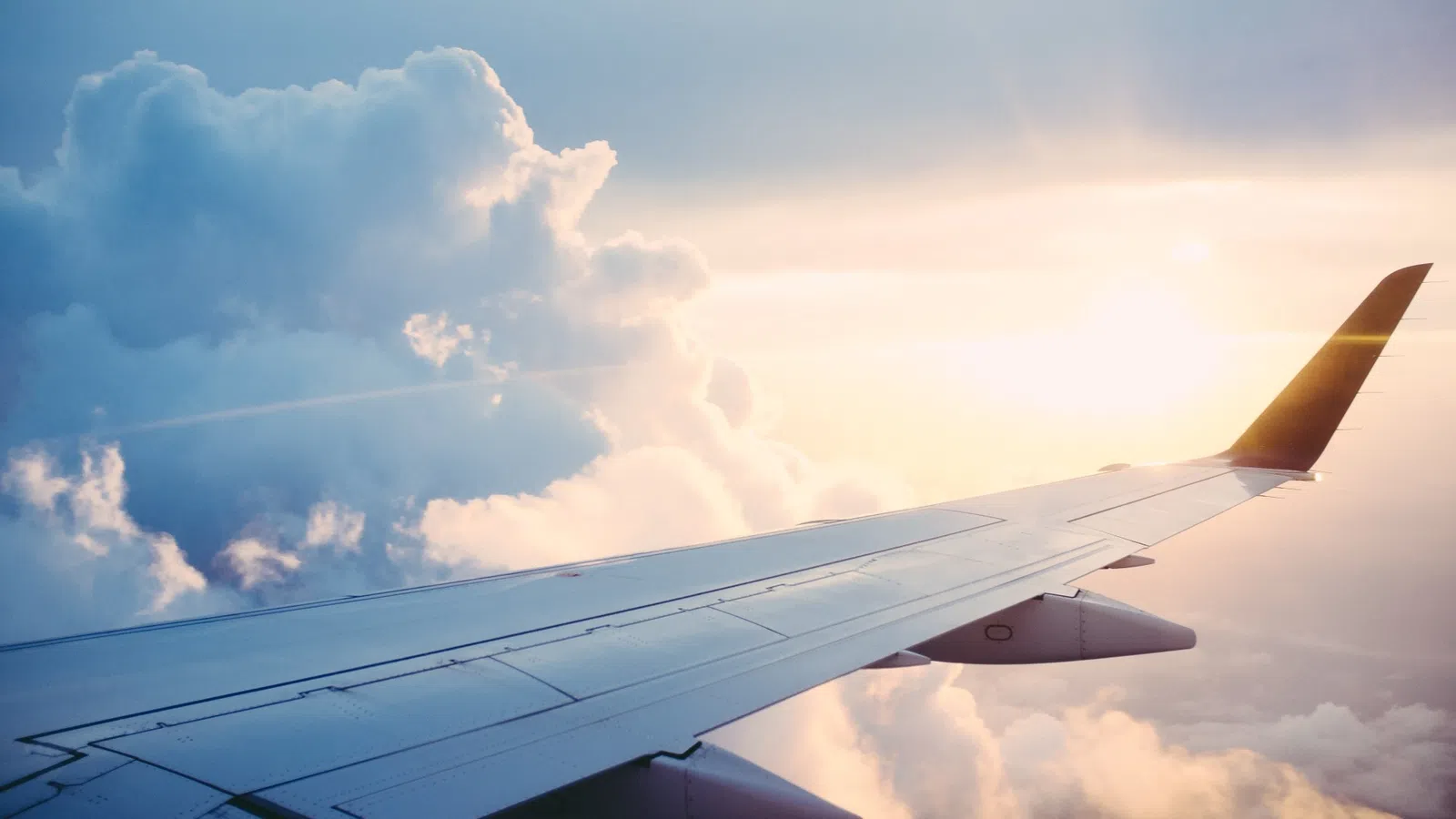 Flying High and Serenading on a Plane to Europe