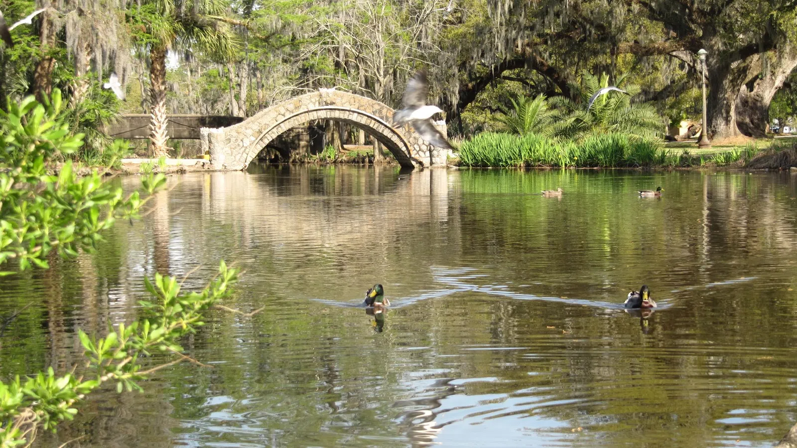 Louisiana Opening Its Parks and Museums