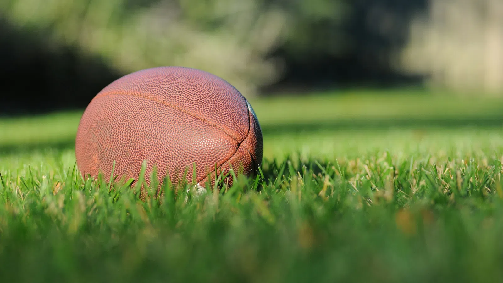 a red ball on grass