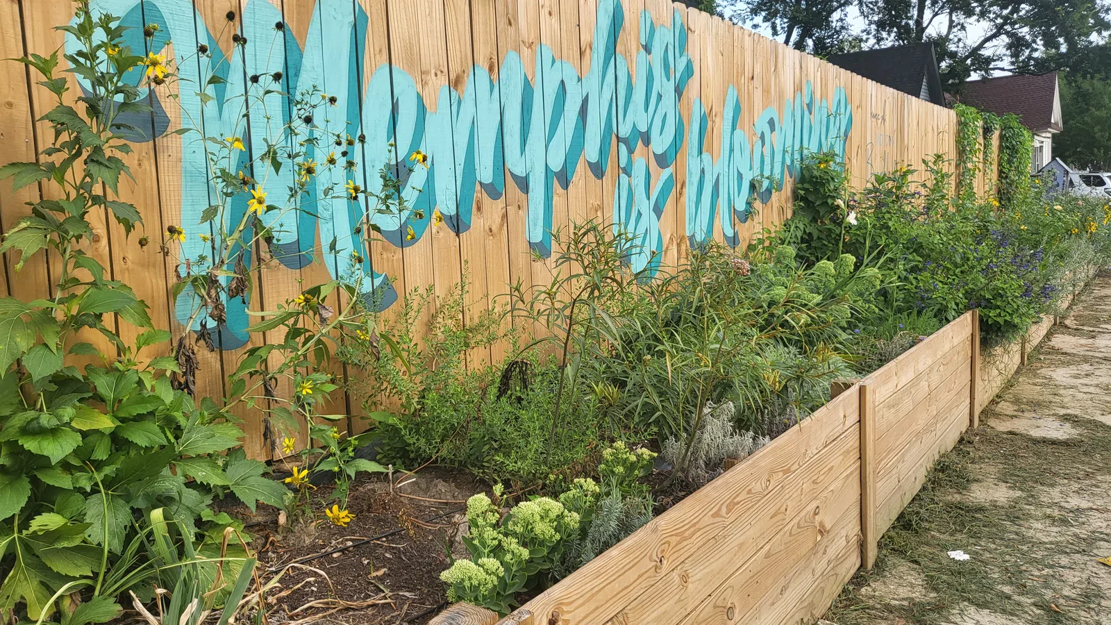 a garden with a fence