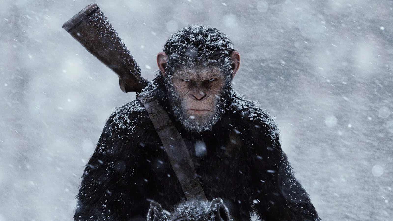A Halloween Fantasy... with Apes