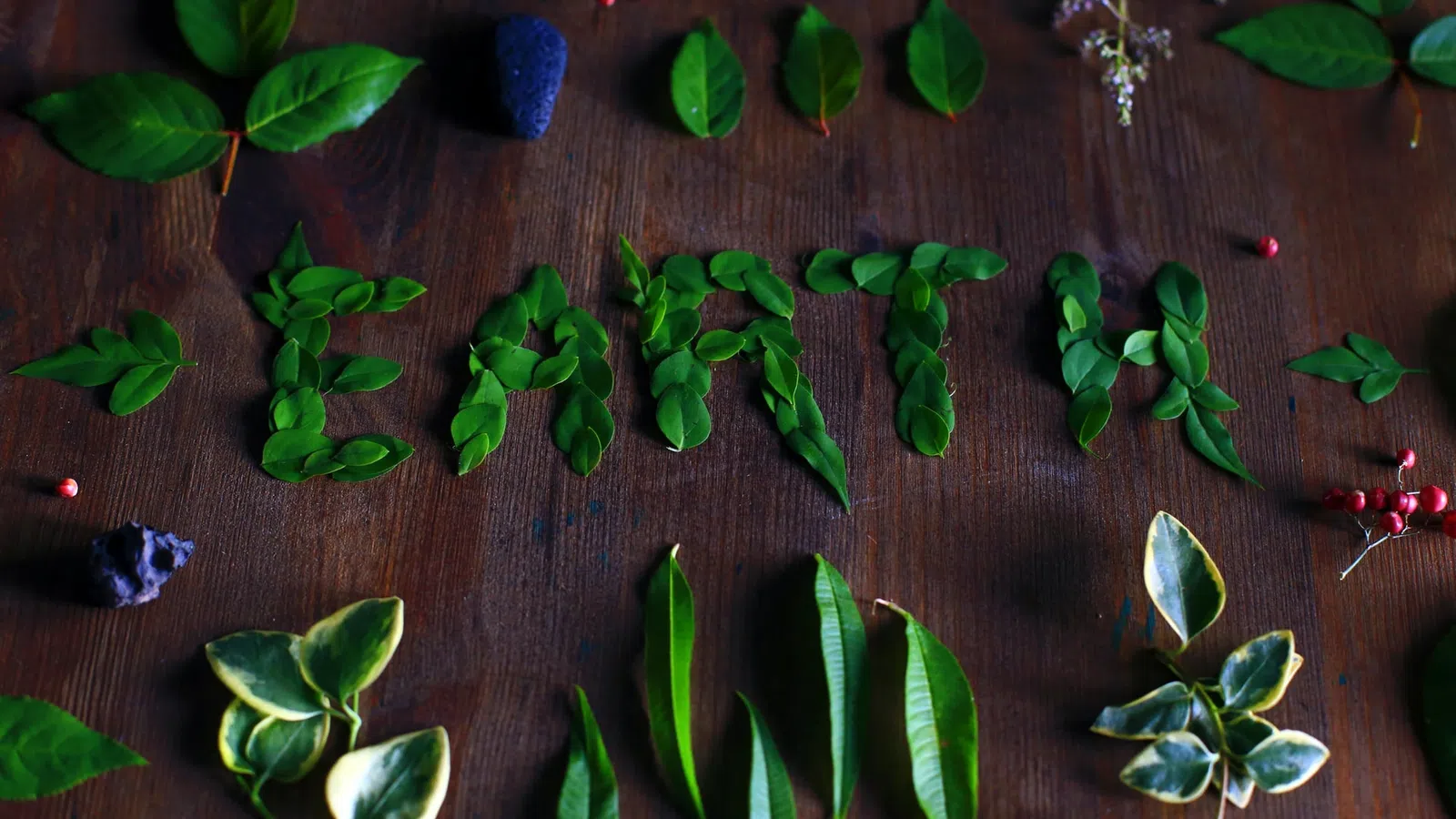 Five Ways to Responsibly Celebrate Earth Day in New Orleans