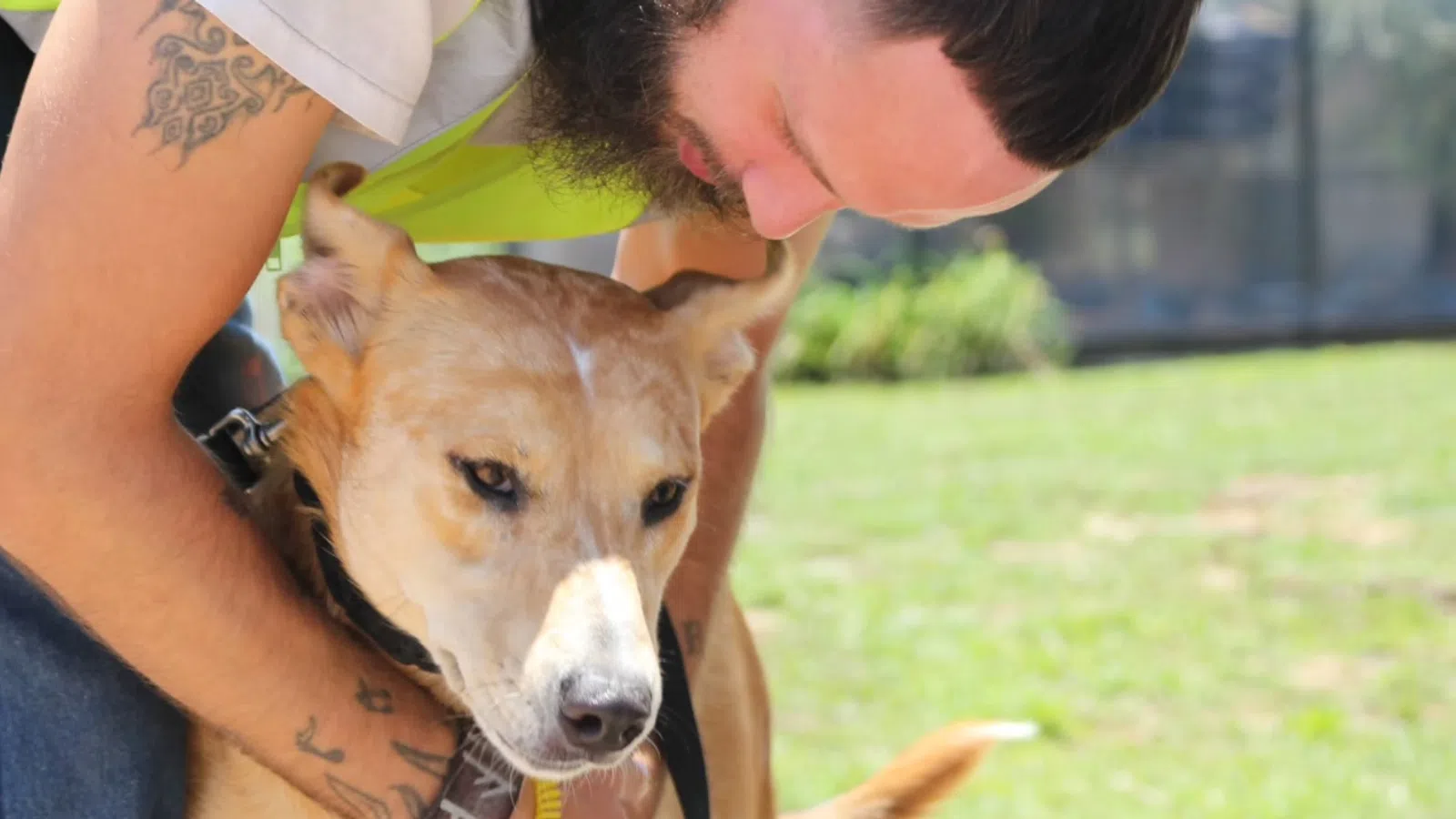 Man in yellow vest hugging a brown dog outdoors on a sunny day in a grassy area.