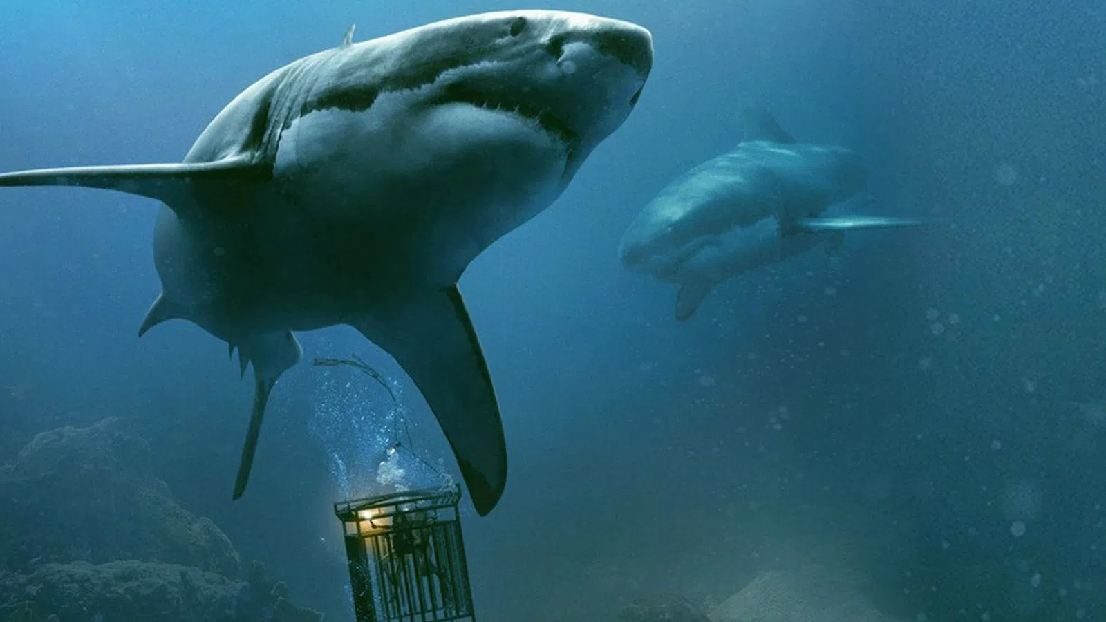Film Review: 47 Meters Down: Uncaged
